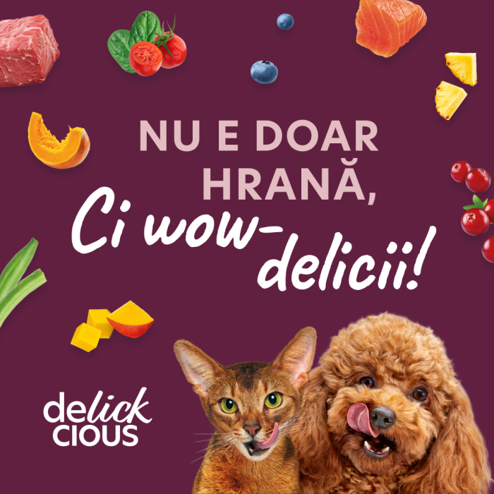 DELICKCIOUS, Recompense cremoase cu sardine si dovleac pentru pisici, 2x60g [7]