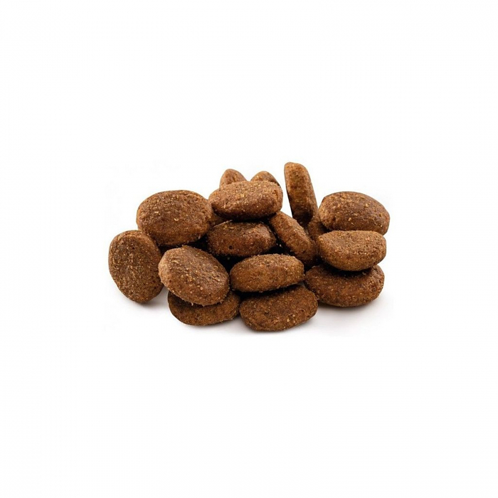 Hrana uscata catei, XL, (la varsta adulta greutate peste 45 kg) [2]