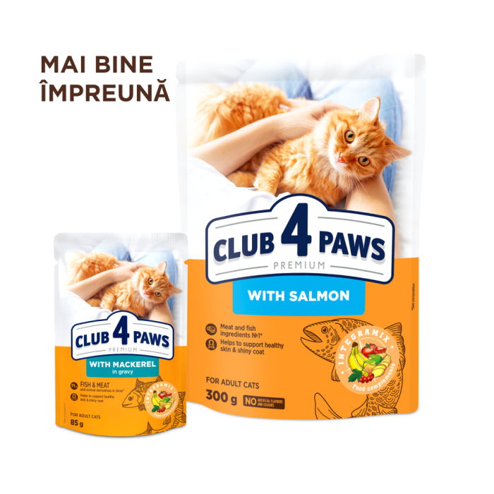 Club 4 Paws, Hrana umeda pentru pisici adulte cu macrou in sos, 24x85 g [6]
