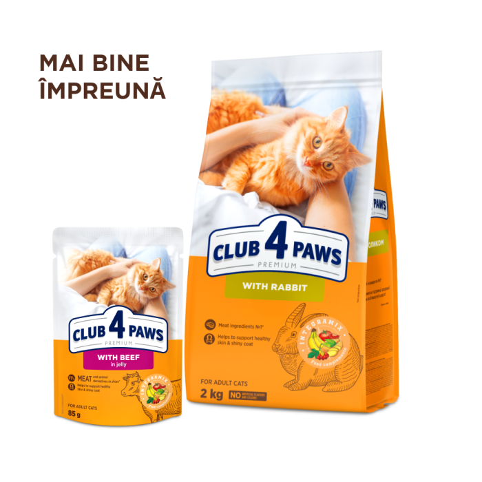 Club 4 Paws, Hrana umeda pentru pisici adulte, Vita in jeleu, 24x85g [6]