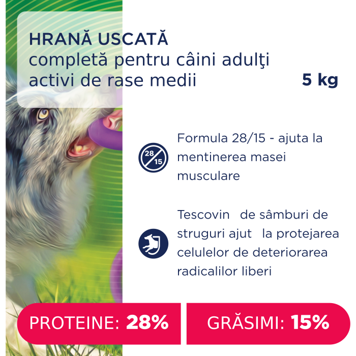 Hrana uscata pentru caini de talie medie, activi, CLUB4PAWS [2]