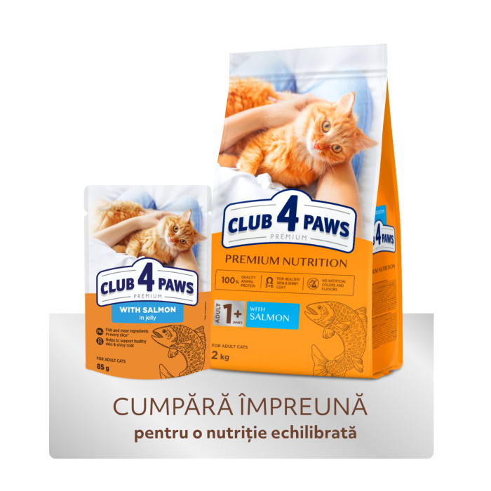 Club 4 Paws, Hrana uscata pisici adulte, cu somon, 2kg [7]