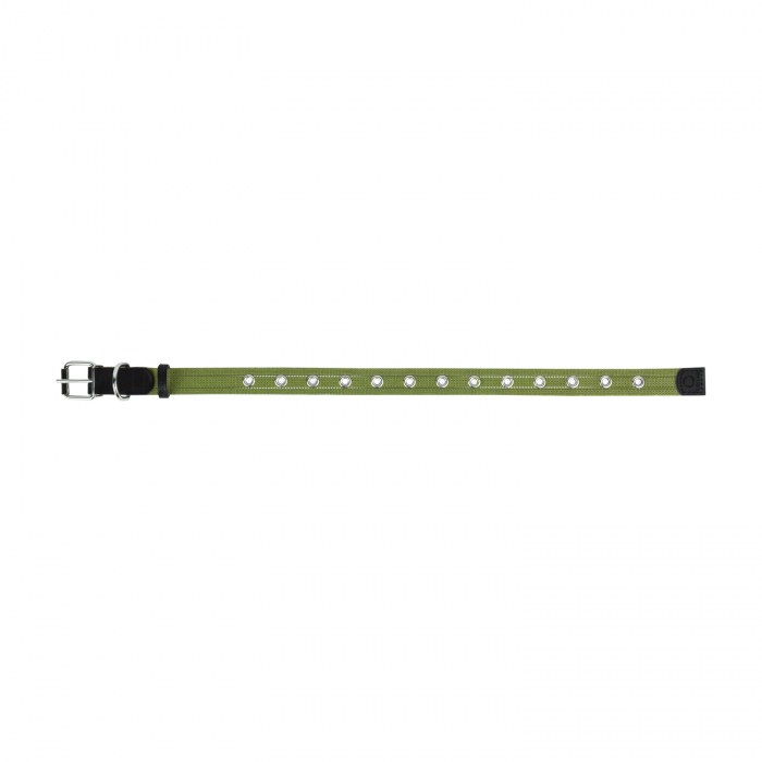 Zgarda pentru Caini Verde, adimensionala, Collar [2]