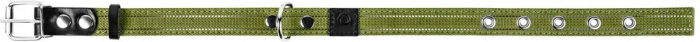 Collar, Zgarda caini dubla, 25mm latime, 41-53cm lungime, verde [4]