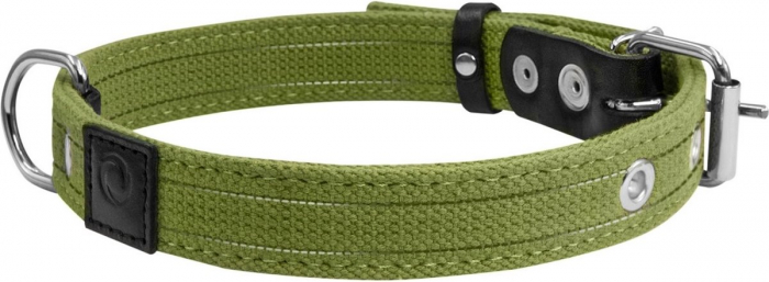 Collar, Zgarda caini dubla, 25mm latime, 41-53cm lungime, verde [3]