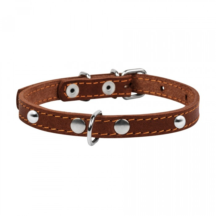 Collar, Zgarda XS, caini, din piele, cu decor metalic, maro [2]