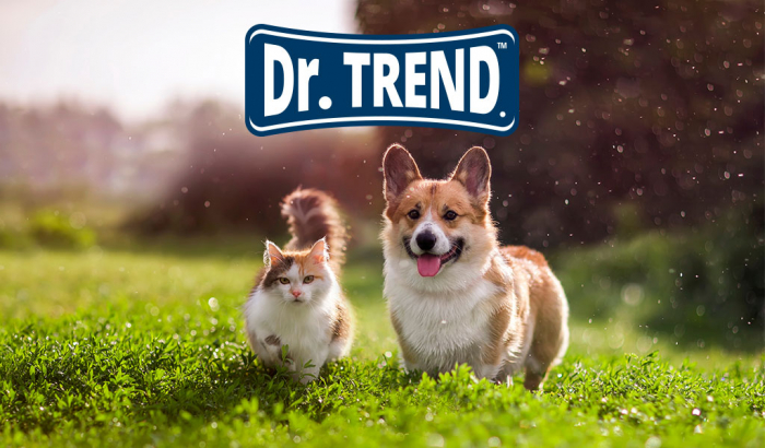 Servetele umede pentru caini si pisici [4]