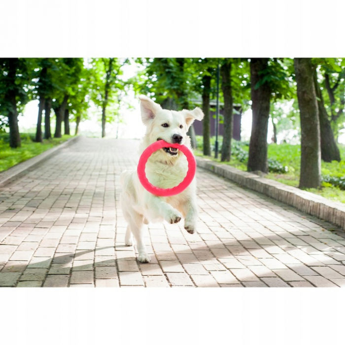 Pitch Dog, Jucarie-inel pentru caini, roz, diametru 20cm [3]