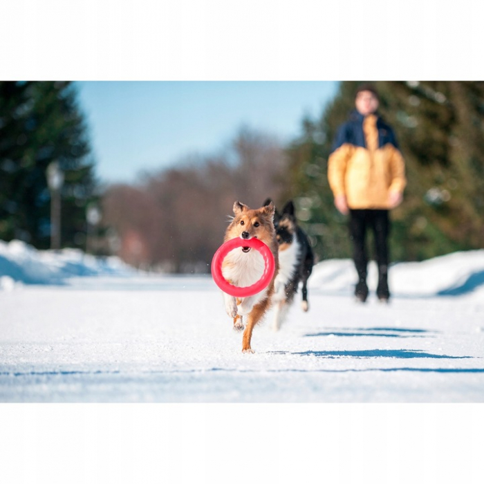 Pitch Dog, Jucarie-inel pentru caini, roz, diametru 20cm [4]