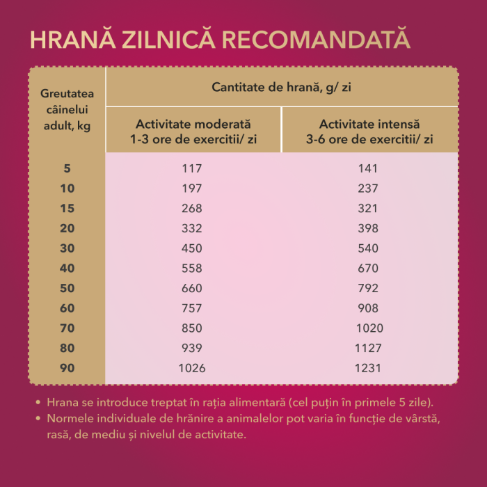 My Love, Hrana uscata, caini activi, 11kg [4]