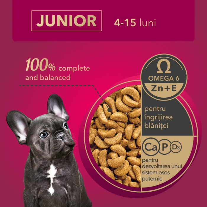 My Love, Hrana uscata, catei juniori, 11kg [2]
