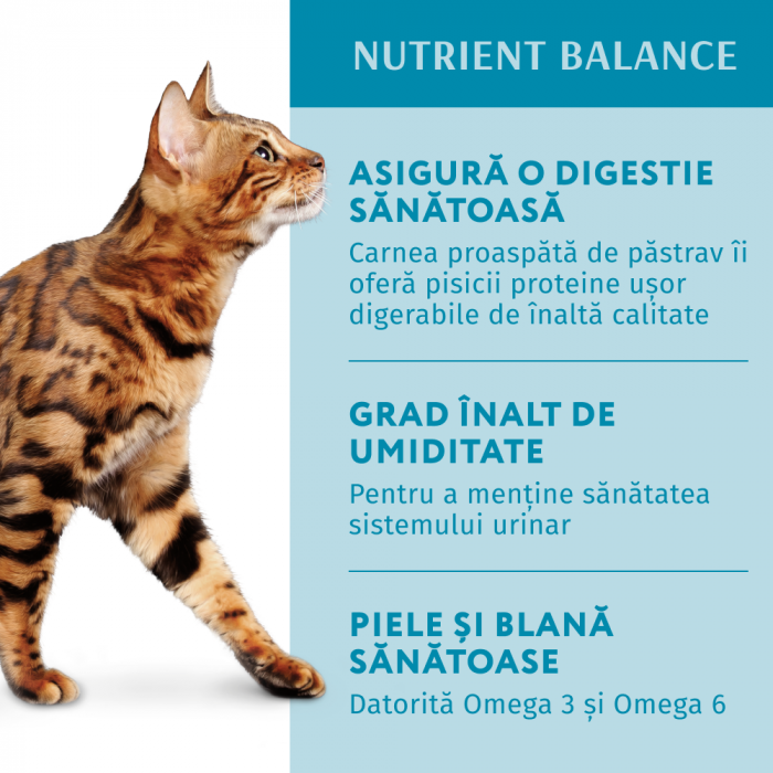 Optimeal Hrana umeda pisici adulte - cu Pastrav in sos, set 12*0,085kg [3]