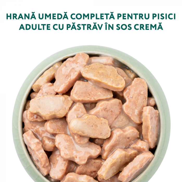 Optimeal Hrana umeda pisici adulte - cu Pastrav in sos, set 12*0,085kg [2]