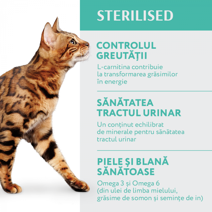 Optimeal, Hrana uscata pisici sterilizate - curcan si ovaz, 1.5kg [3]