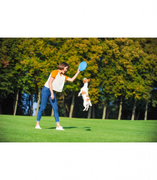 PitchDog 24, disc zburator pentru caini, albastru [5]