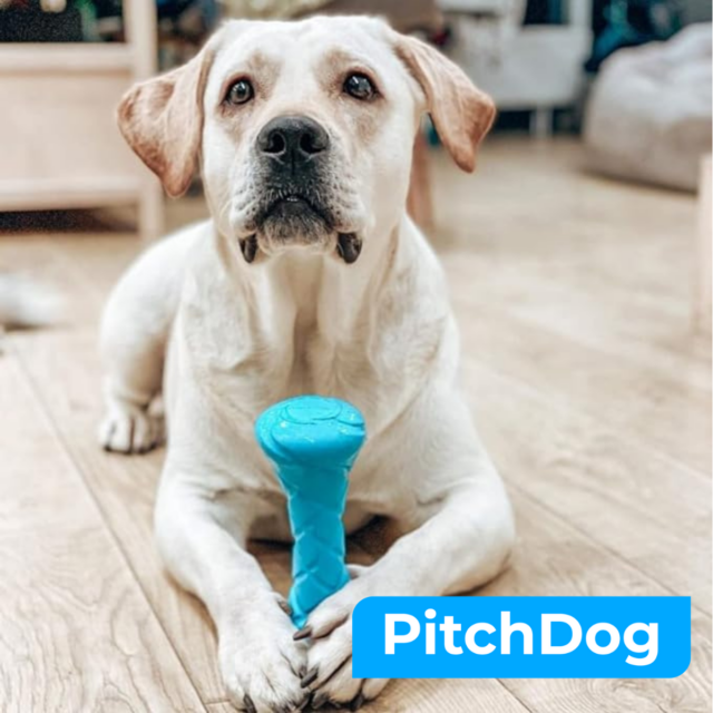 PitchDog, Gantera din spuma pentru caini, 19x7cm, albastra [3]