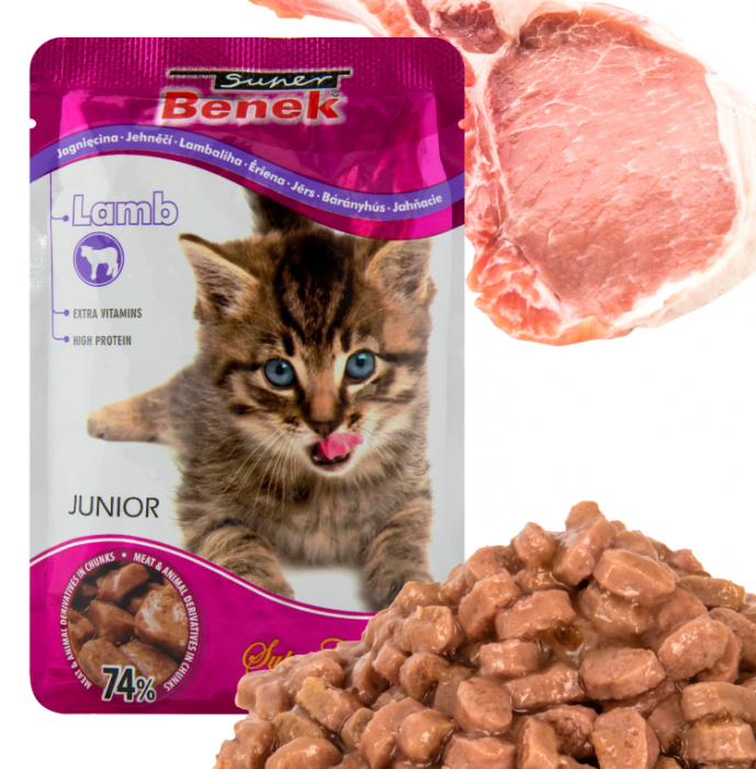 Plicuri hrana umeda miel in sos pentru pisoi, Super Benek, 24x100g [2]