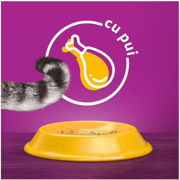 Hrana uscata pisici adulte, cu pui, Whiskas, 14 kg [2]