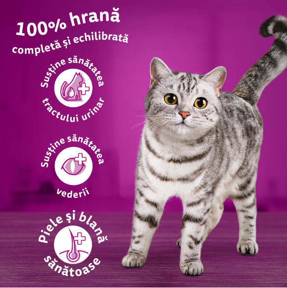 Hrana uscata pisici adulte, cu pui, Whiskas, 14 kg [3]