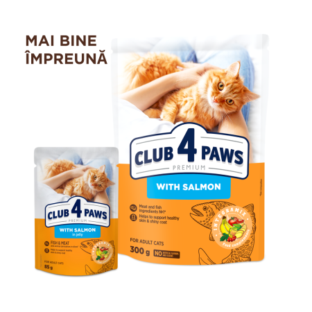 Club 4 Paws Premium, Hrana umeda pisici, somon in jeleu, 24x85g [5]