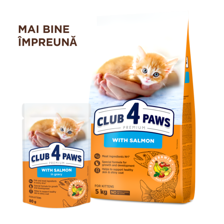 Club 4 Paws Premium, Hrana uscata pisoi, cu somon, 300g [4]