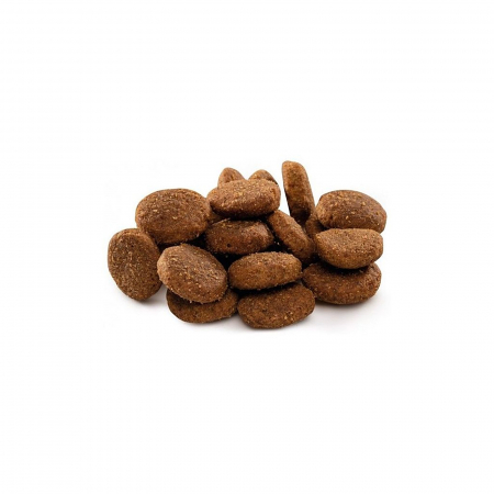 Hrana uscata catei, XL, (la varsta adulta greutate peste 45 kg) [1]