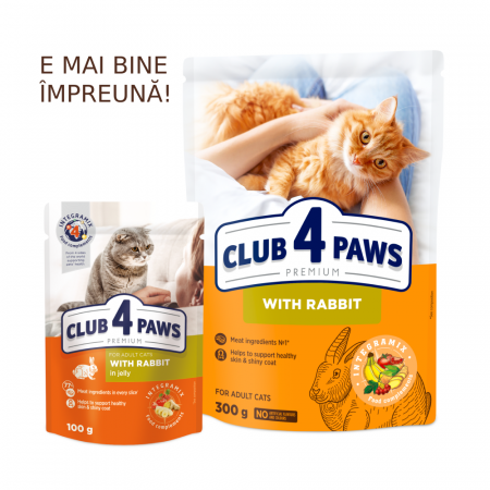 Hrana uscata pisici adulte, cu iepure, 300g [1]