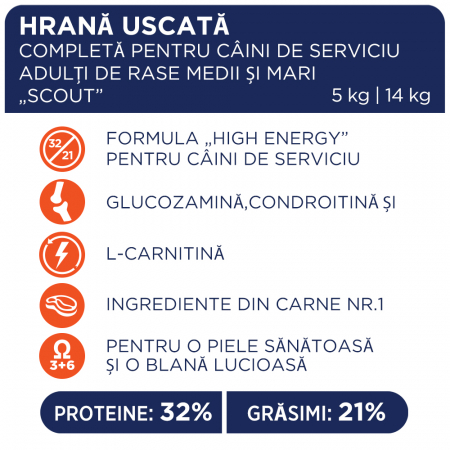 Club 4 Paws Scout Hrana uscata caini super activi, 5kg [2]