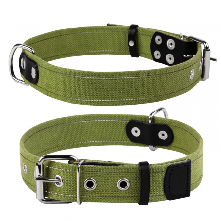 Produse pentru caini - Zgarda pentru Caini Verde, Circumferinta Gatului: 51-63 cm, Collar
