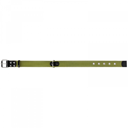 Zgarda pentru Caini Verde, Circumferinta Gatului: 51-63 cm, Collar [1]