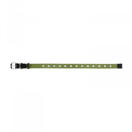 Zgarda pentru Caini Verde, adimensionala, Collar [1]