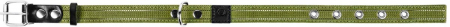 Collar, Zgarda caini dubla, 25mm latime, 41-53cm lungime, verde [3]