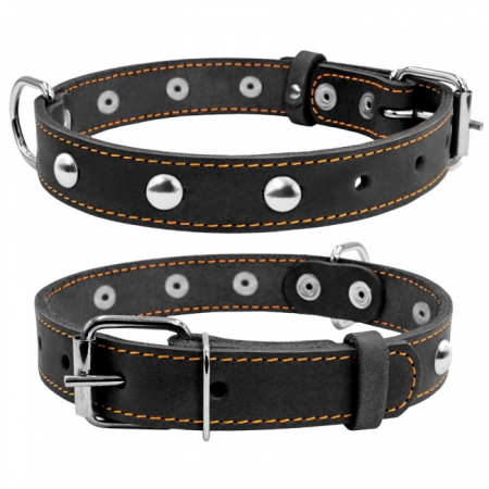 Produse pentru caini - Collar, Zgarda S, caini, din piele, cu decor metalic, negru