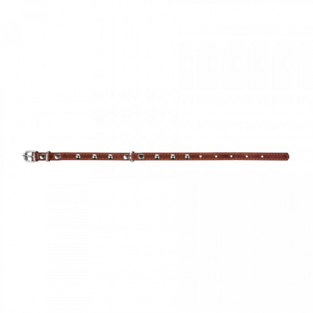 Collar, Zgarda XS, caini, din piele, cu decor metalic, maro [2]