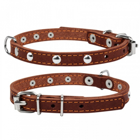 Produse pentru caini - Collar, Zgarda XS, caini, din piele, cu decor metalic, maro