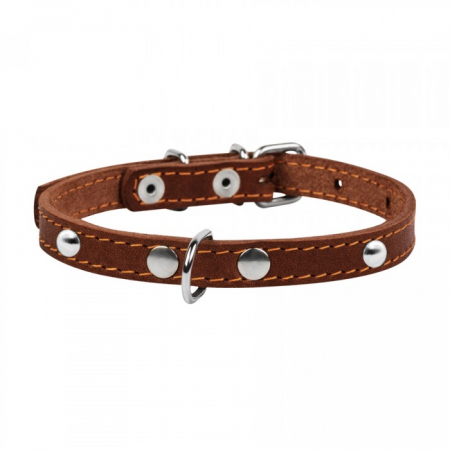 Collar, Zgarda XS, caini, din piele, cu decor metalic, maro [1]
