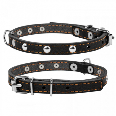 Produse pentru caini - Collar, Zgarda XS, caini, din piele, cu decor metalic, neagra
