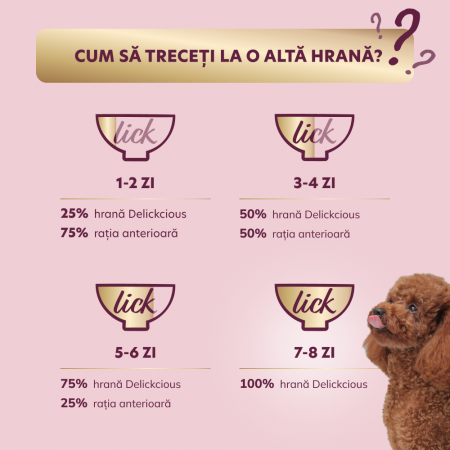 DELICKCIOUS, Bucăți de carne de curcan și fructe tropicale în sos cremos, pentru caini, 80g [3]
