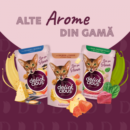 DELICKCIOUS, Bucati de carne de miel, file de pui si fasole verde in jeleu, pentru pisici, 85g [4]
