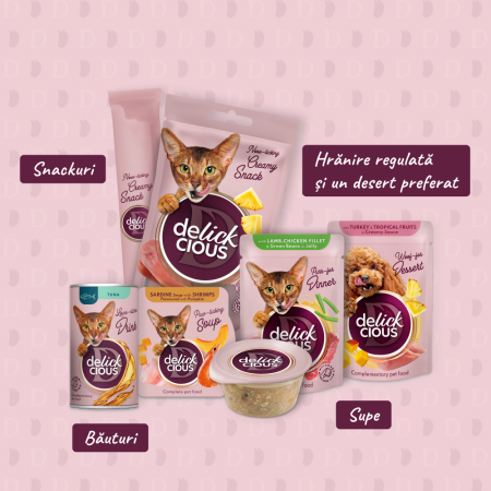 DELICKCIOUS, Stripsuri cu rata si dovleac in supa crema, pentru pisici, 85g [4]