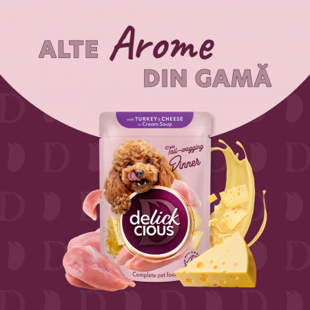DELICKCIOUS, Stripsuri cu somon si morcov in supa crema, pentru caini, 85g [4]