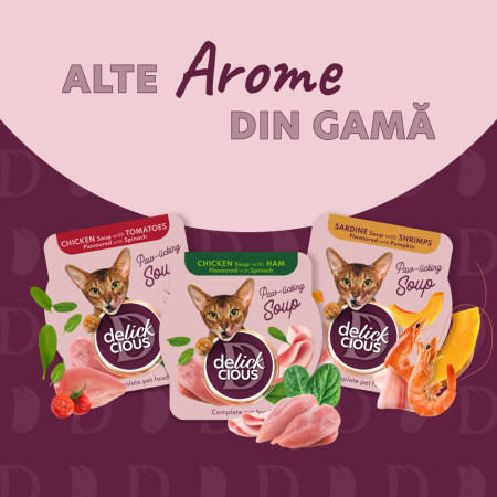 DELICKCIOUS, Supa de ton cu aroma de mini porumb si mazare verde. [4]