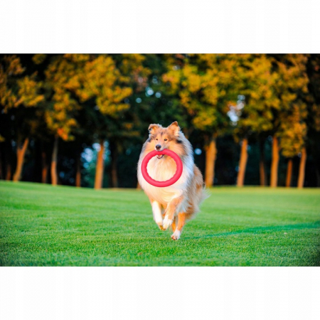Pitch Dog, Jucarie-inel pentru caini, roz, diametru 20cm [4]