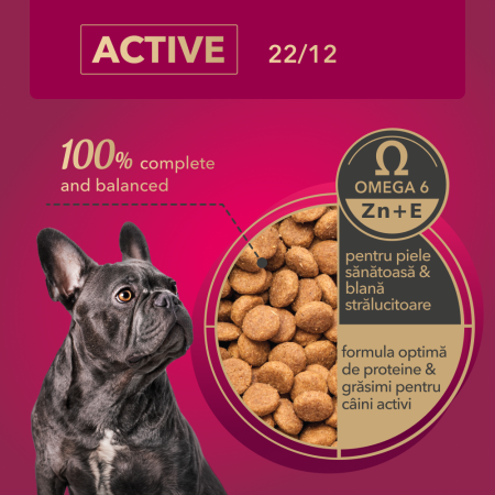 My Love, Hrana uscata, caini activi, 11kg [2]