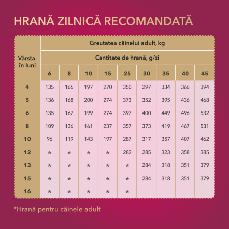 My Love, Hrana uscata, catei juniori, 11kg [3]