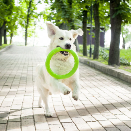 Pitch Dog, Jucarie-inel pentru caini [2]
