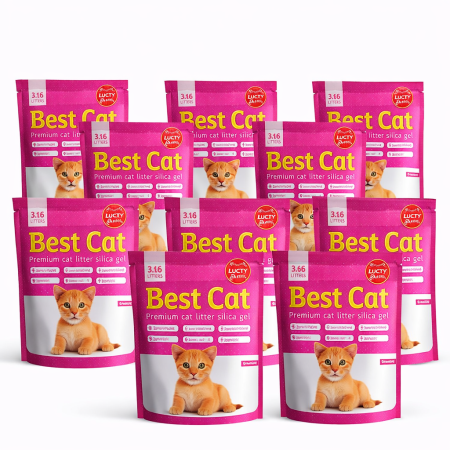 Asternut igienic - Pachet economic asternut igienic pentru pisici Best Cat Silicat Silicat - Floral, 10 x 3.6l