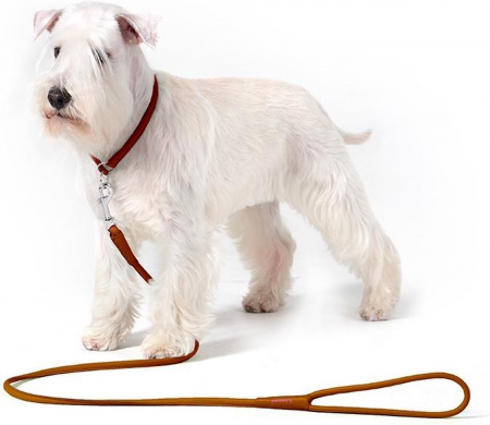 Waudog Soft, Lesa caini, din piele, cusuta manual, S, maro [1]