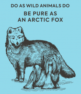 Sampon albire blana caini si pisici [1]