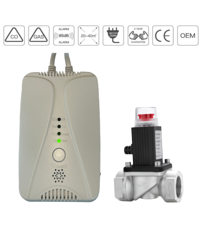 Senzori de gaz, fum si monoxid de carbon - Detector de gaz si monoxid de carbon FRAMMINO®, plus electrovalva 3/4 inches DN20